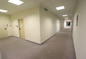 Pest county Gödöllő on 3 acre land 14.291sqm logistic industrial site for sale