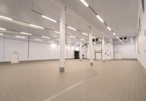Pest county Tök on 16608sqm land 3600sqm modern food factory for sale
