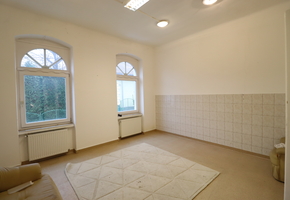 Pest county Budakeszi 270sqm heated are to let