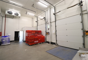 Pest county Tök on 16608sqm land 3600sqm modern food factory for sale
