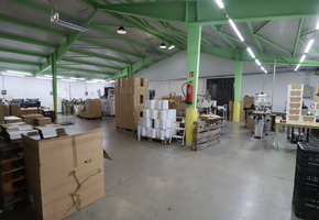 Pest county Budaörs industrial premise, 6499sqm land with gross 2210sqm largge buillding as investment for sale
