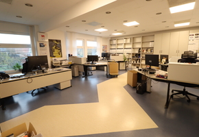 Pest county Érd on 4092sqm land 1135sqm building compplex, independent premise for rent