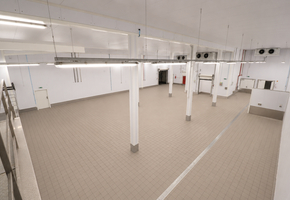 Pest county Tök on 16608sqm land 3600sqm modern food factory for sale