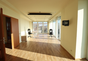 Pest county Biatorbágy 7250sqm large mixed office-storage building for rent