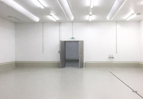 Pest county Sződ on 1.4 acre land 1505sqm industrial building, investment property for sale