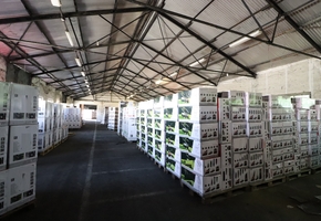 Pest county Alsónémedi on 18.721sqm land 3810sqm buiding complex, high storage, unheated storages, offices for sale