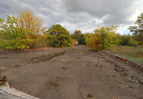 Pest county Sződ free yard area to let