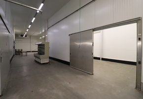 Pest county Tök on 16608sqm land 3600sqm modern food factory for sale