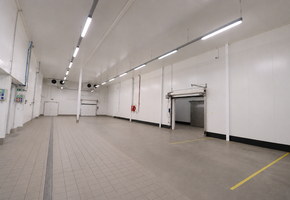 Pest county Tök on 16608sqm land 3600sqm modern food factory for sale
