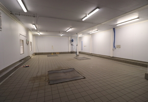 Pest county Tök on 16608sqm land 3600sqm modern food factory for sale