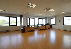Pest county Sóskút independent premise, 2120sqm storage, 440sqm office on 6600sqm land for rent