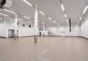 Pest county Tök on 16608sqm land 3600sqm modern food factory for sale