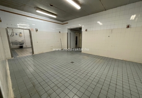 Pest county Nagykőrös 901sqm large fodd factory, meat factory for sale